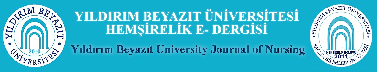 Sayfa Başlığı